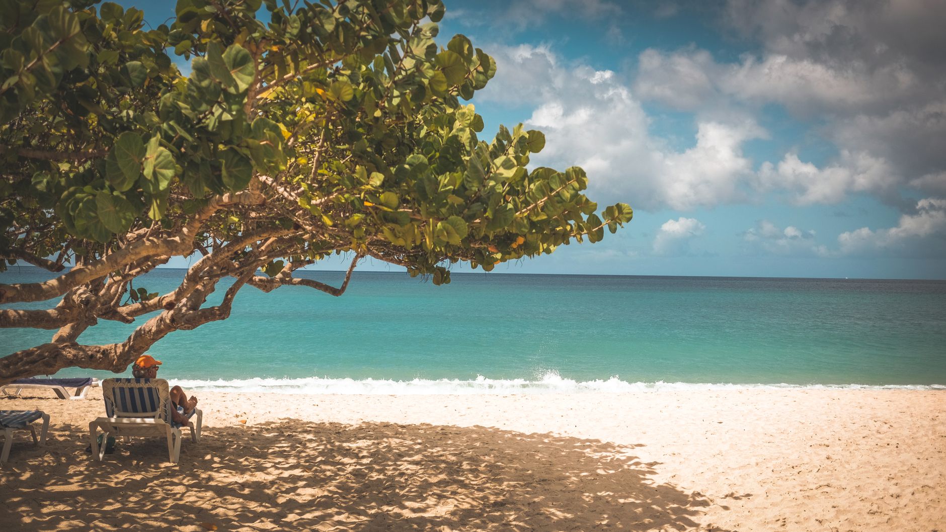 Grand Anse Beach and spice plantations in Grenada, the Spice Isle