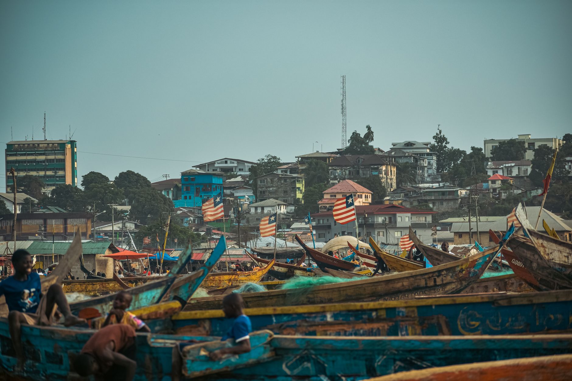 Sapo National Park rainforest and pygmy hippopotamus habitat, Liberia